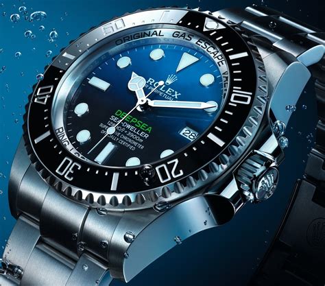 mario di mauro rolex|rolex dive watch.